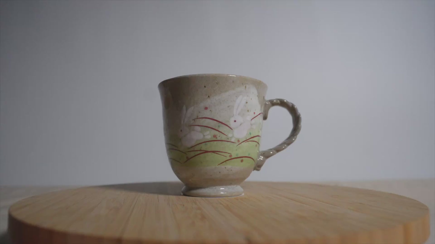 LeapingJumpingRabbitMug_Video